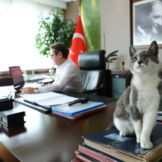 Yasin KARTOĞLU