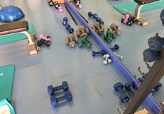 BAHÇEŞEHİR SAĞLIK VE SPOR MERKEZİ