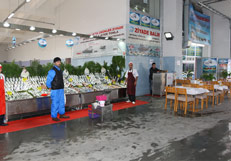 basaksehir_beldiyesi_basakpazar